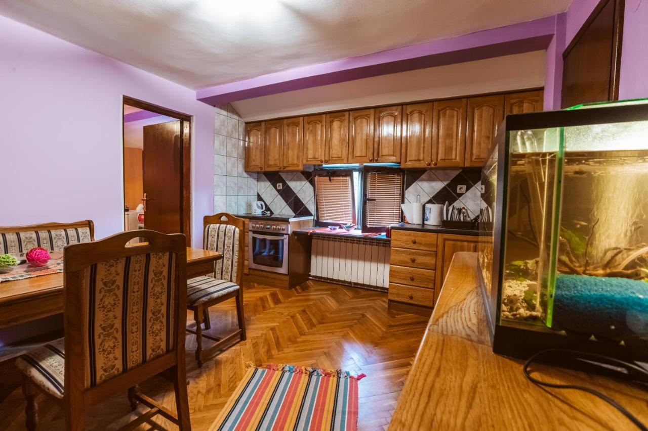 Laufer Pansiyon Novi Sad Dış mekan fotoğraf